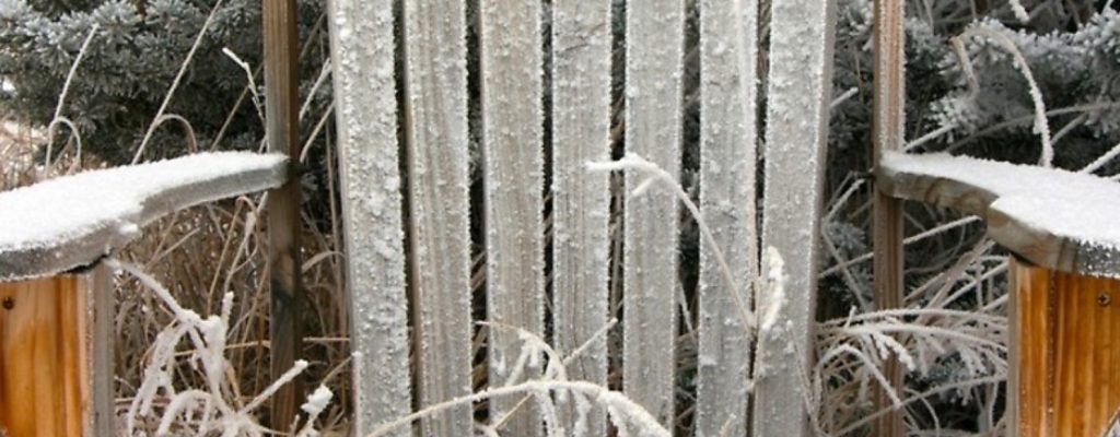 Frosty Adirondack Chair with Spruce Tree