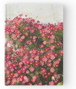 Pink Flowers Against a Gray Stucco Wall - Bullet Journal