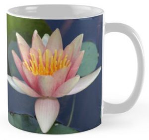 Pink Water Lily in a Blue Pond - Coffee Mug