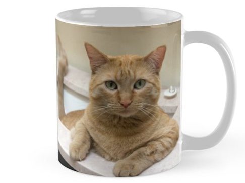 Orange Tabby Cat Sitting in the Sink - Mug