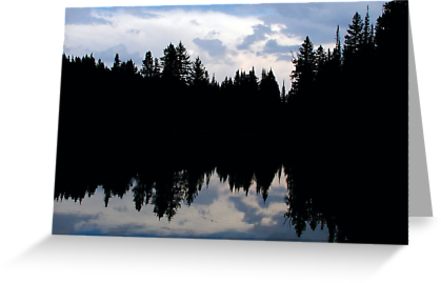 Reflection of Trees and Sky in Bear Lake, Rocky Mountain National Park, Colorado