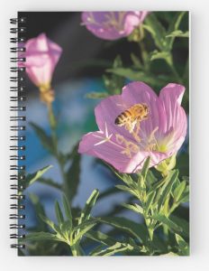 Honeybee on Evening Primrose Spiral Notebook