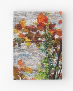 Backlit Fall Leaves Against Weathered Rock Bullet Journal