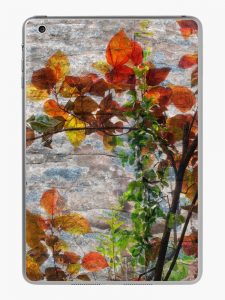 Backlit Fall Leaves Against Weathered Rock iPad Case