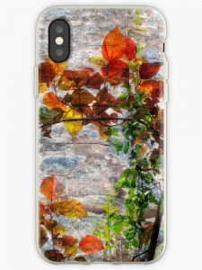Backlit Fall Leaves Against Weathered Rock iPhone Case