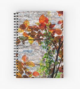 Backlit Fall Leaves Against Weathered Rock Spiral Notebook