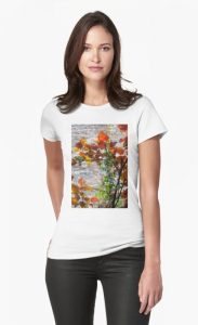 Backlit Fall Leaves Against Weathered Rock T-Shirt