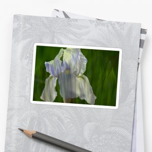 Sticker: Pale Blue Iris with Pattern of Iris Leaves
