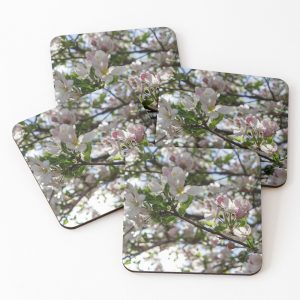 Backlit Apple Blossoms - coasters