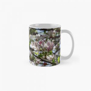 Backlit Apple Blossoms - coffee mug