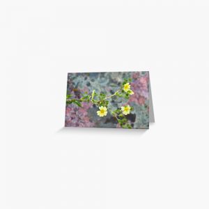 Colorado Wildflowers with Lichen Background - greeting card