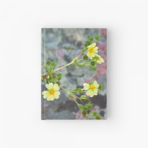 Colorado Wildflowers with Lichen Background - hardcover notebook