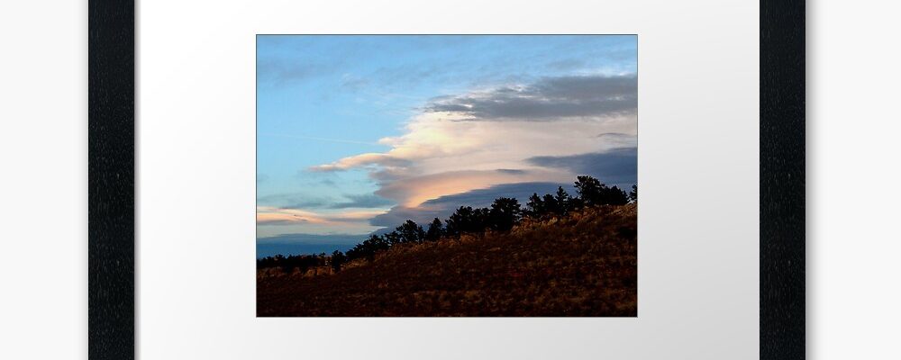 Several New Photos on Redbubble!