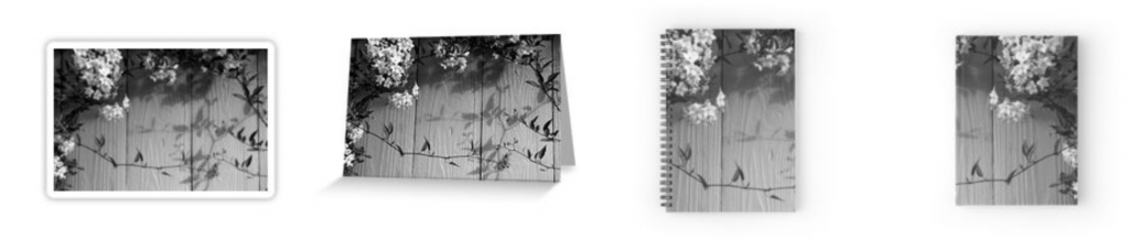 Jasmine Nightshade Vine on a Painted Fence Black and White - Multiple Products