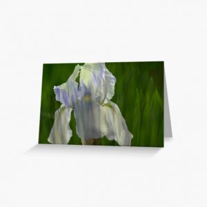 Greeting Card: Pale Blue Iris with Pattern of Iris Leaves